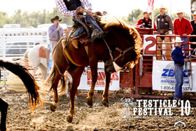 Testicle Festival PRCA Rodeo