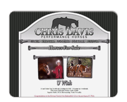 Chris Davis Performance Horses