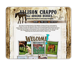 Allison Chappo All-Around Horses