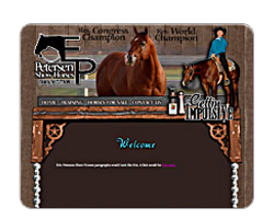 Petersen Show Horses