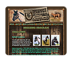 RC Performance Horses
